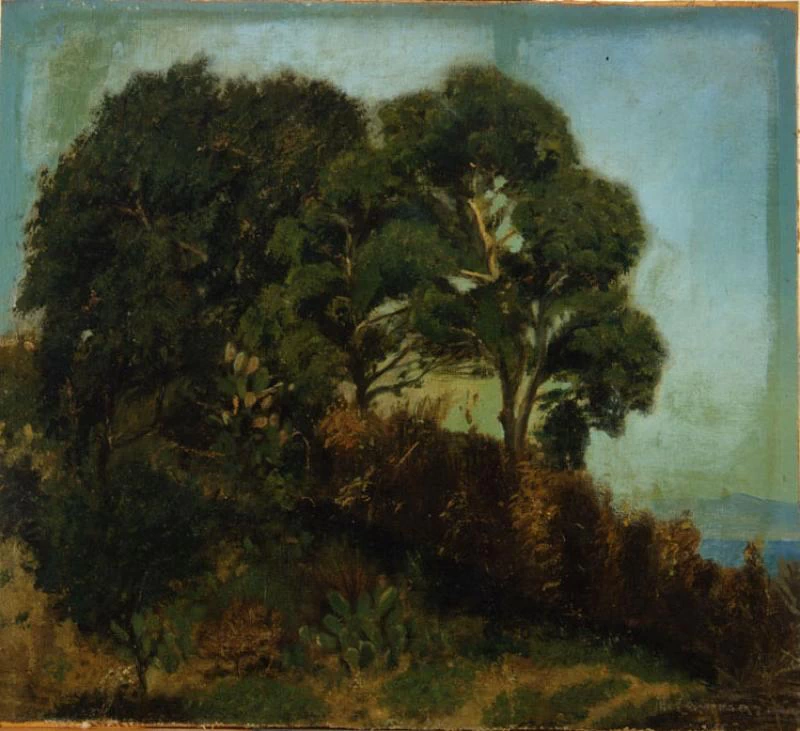 Paesaggio boschivo - Pinacoteca di Bari Corrado Giaquinto, Bari